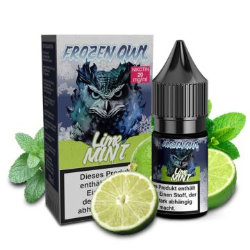 Frozen OWL Nikotinsalz - Lime Mint